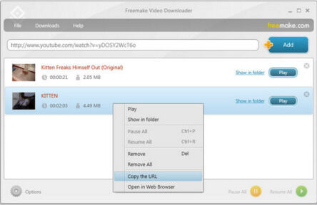 Freemake Video Downloader